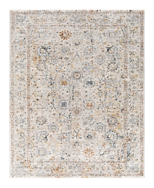 SURYA LAILA LAA-2317 AREA RUG, 2' X 3'