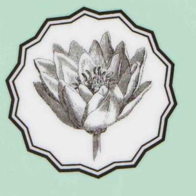 Herbariae by Christian Lacroix Dessert Plate