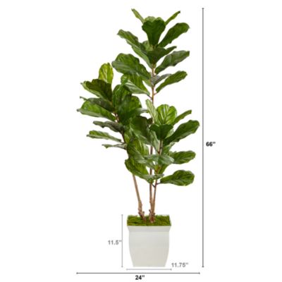 5.5ft. Fiddle Leaf Artificial Tree in White Metal Planter UV Resistant (Indoor/Outdoor)