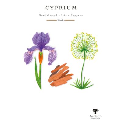 Max 16 Les Exclusives Cyprium Candle