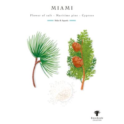 My First Baobab Candle &amp; Diffuser Gift Box – Miami