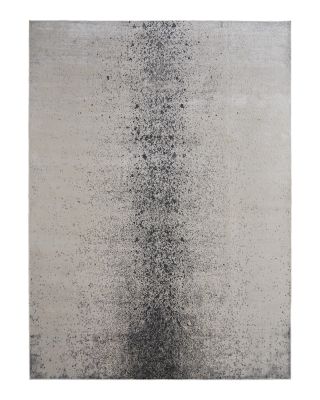 Feizy Astra ARA39L2F Area Rug, 1'8 x 2'10