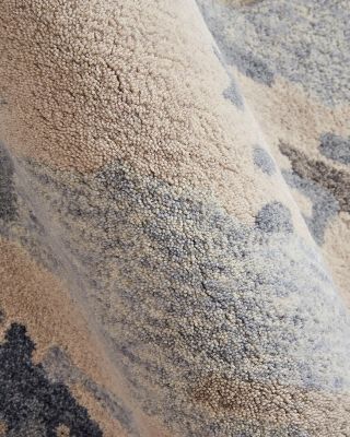 Everley EVE8647F Area Rug, 8&#39; x 10&#39;