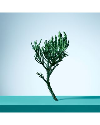 Tiffany & Love for Him Eau de Toilette 3 oz.