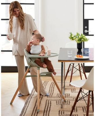  First Bites Full Kit