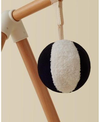 The Play Gym - Age 0-24 Months