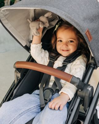 Vista V3 Stroller