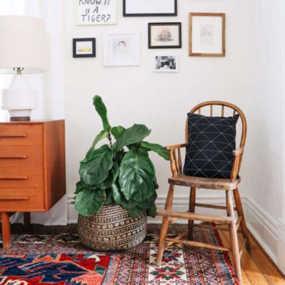 Small Graph Throw Pillow, 12" x 16"