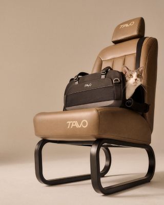 Dupree II Airline Carry-on Pet Car Seat