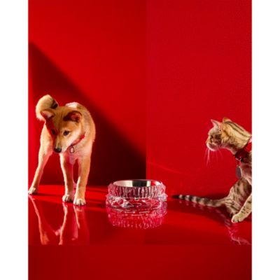 Louxar Red Allure Pet Collar