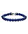 Blue/Silver