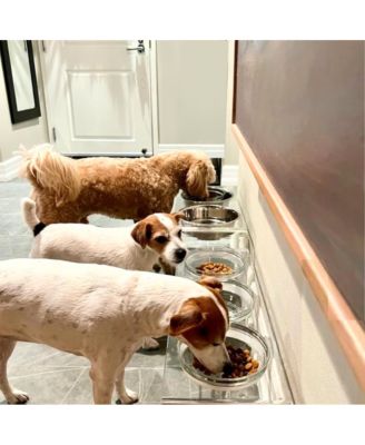 Medium Clear Double Bowl Pet Feeder, 2 Quart Bowls