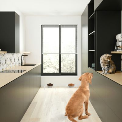 Clear Single Pet Bowl Feeder