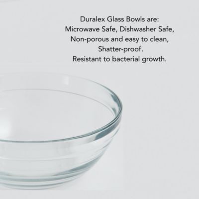 Small Clear Double Glass Bowl Pet Feeder, 1 Quart Bowls