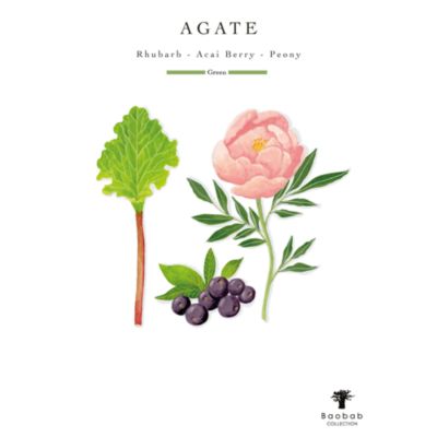 Totem Stones Agate Luxury Medium Bottle Diffuser, 67.6 oz.