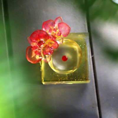 Crystal Flower, Moth Orchid, Red Radiance