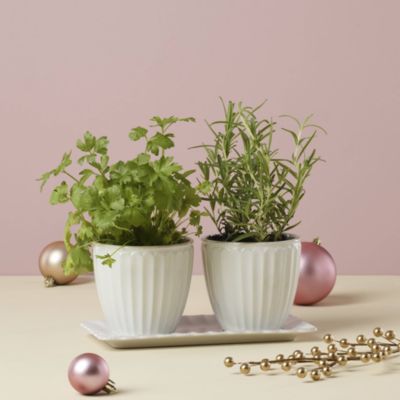 Set of 2 French Perle Herb Pots with Tray