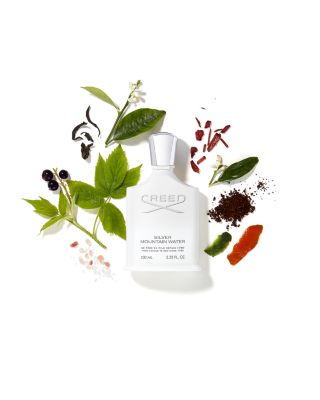 Silver Mountain Water 8.4 oz.