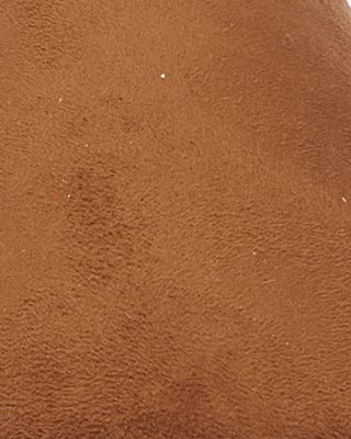 Men's Everitt Fleece Lined Slippers