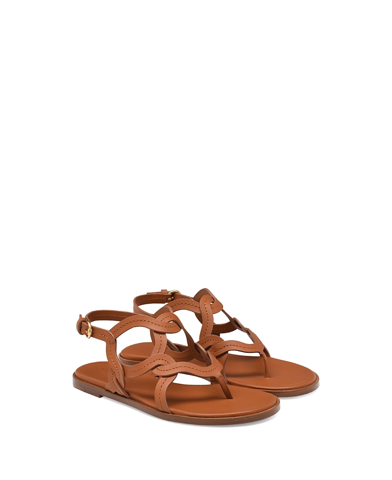 Gianvito Rossi Amalfi Thong Sandal In Brown