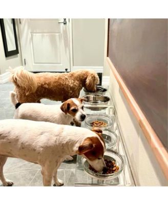 Medium Clear Double Bowl Pet Feeder, 2 Quart Bowls