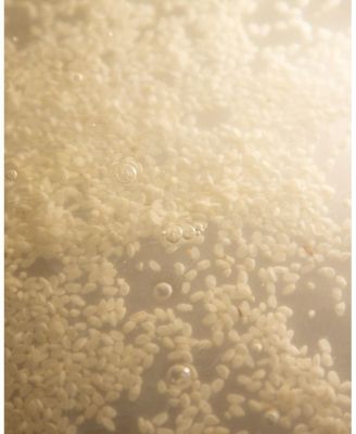 Rice Probiotics Gentle Micellar Cleansing Milk
