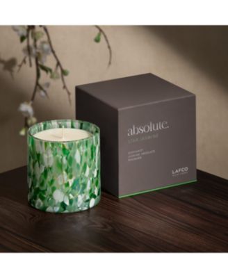 Star Jasmine Absolute Signature Candle, 15.5 oz.