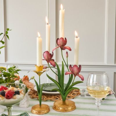 Meadow Walk Daffodil 9&amp;quot; Candlestick