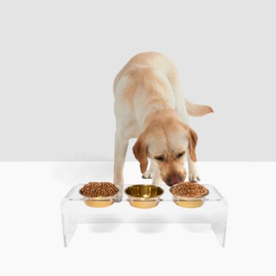 Tall Clear Triple Dog Bowl Feeder with 2 Quart Gold Bowls