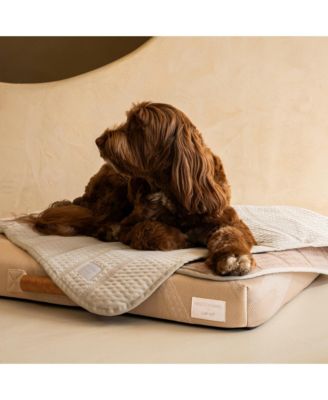 Brigette Romanek Luxury Pet Blanket