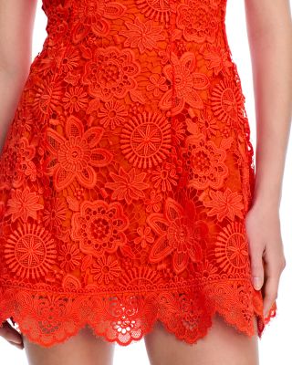 Trina Lace Dress