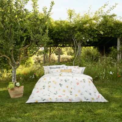 Zinnia Blanc Sham, Boudoir