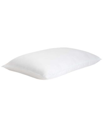 Cozy Earth - Silk Pillow, Standard