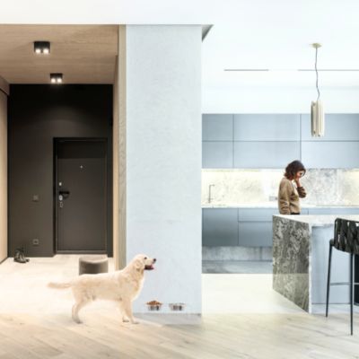  Clear Overflow Feeder Tray