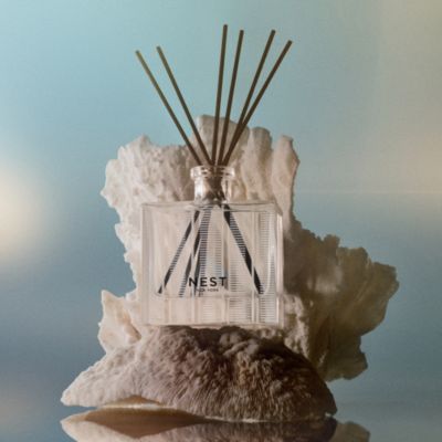Ocean Mist & Sea Salt Reed Diffuser, 5.9 fl. oz.