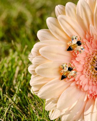 Mixed Crystal Bee Stud Earrings in 14K Gold Plated