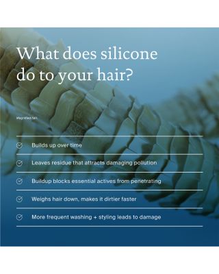 No Frizz Conditioner 8 oz.