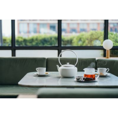 MoonKettle Electric Kettle