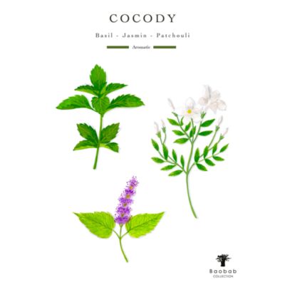 Max 35 Sacred Trees Cocody Candle