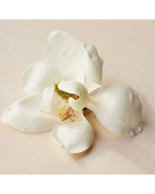 Atelier des Fleurs Magnolia Alba Eau de Parfum 5 oz.