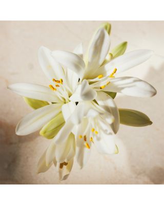 Atelier des Fleurs Tuberosa 1974 Eau de Parfum 5 oz.