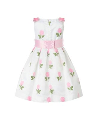 Girls' Rose Embroidered Organza Dress - Little Kid, Big Kid