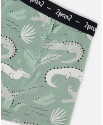 Boys' Printed Organic Cotton Boxer Shorts - Little Kid, Big Kid