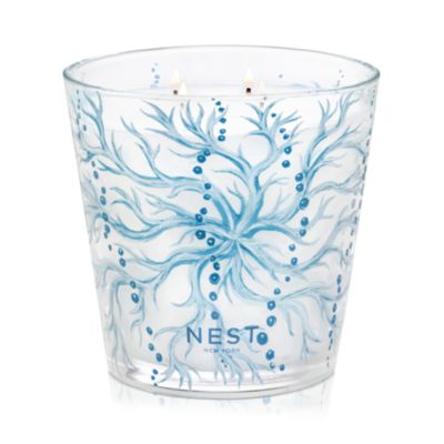 Ocean Mist & Sea Salt Decorative Luxury Candle, 47.3 oz.