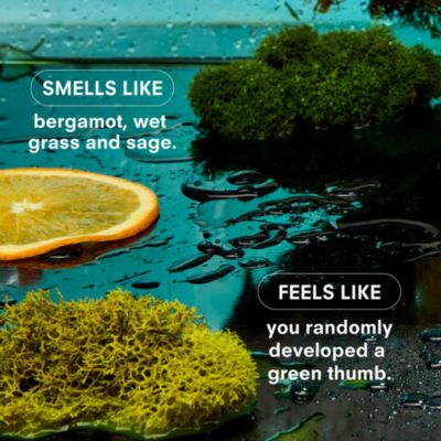 Herbaceous Standard Candle, 8.5 oz.