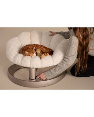 Shell Pet Bed and Swaying Lounger