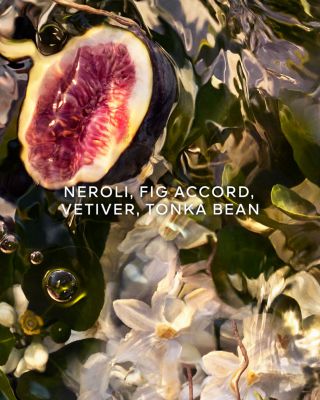 Aqua Allegoria Nerolia Vetiver Forte Eau de Parfum 4.2 oz.