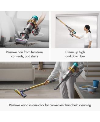 V15 Detect Absolute Cordless Vacuum