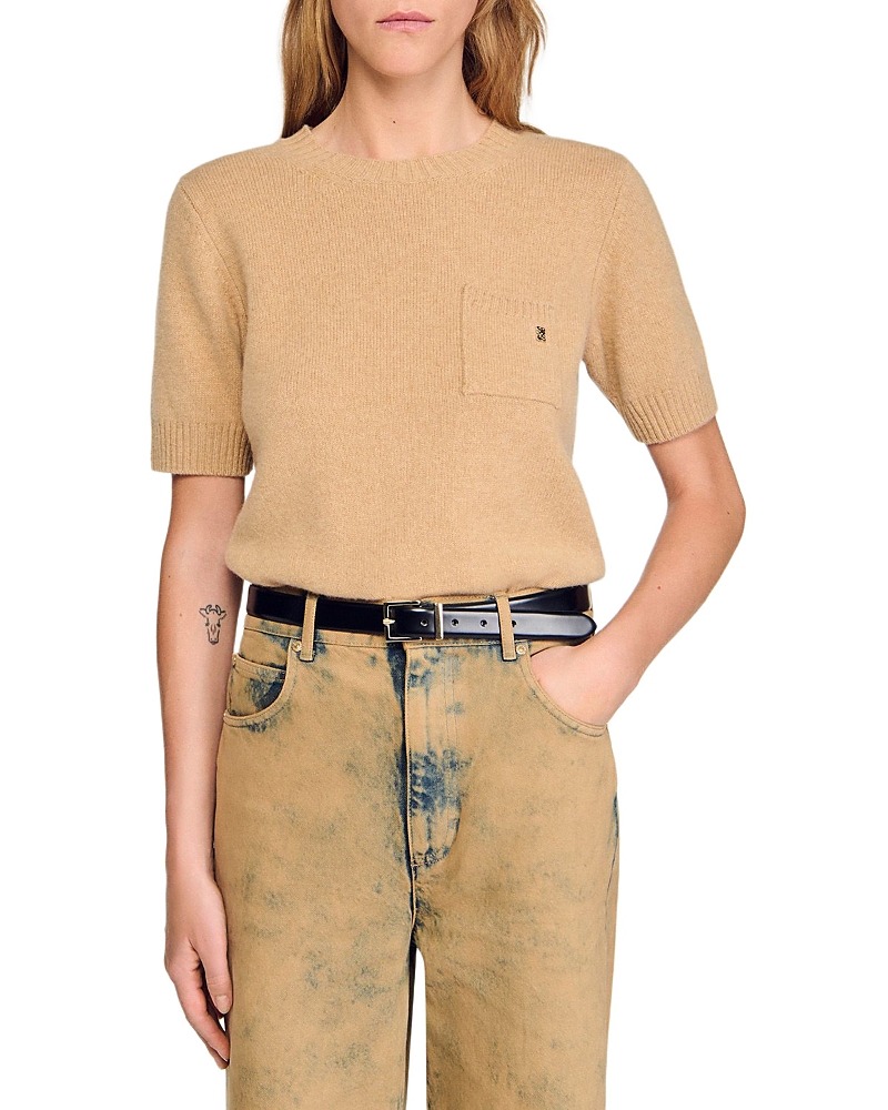Sandro Short Sleeve Sweater In Brown