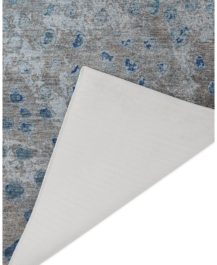Dalyn Kochi Washable KC13 Area Rug Collection